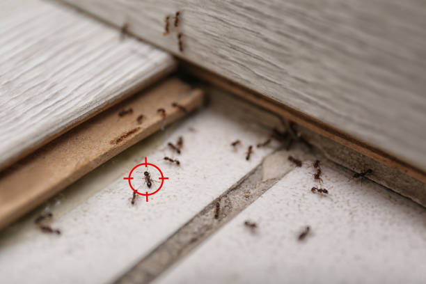Best Rodent Control Near Me  in Fort Atkinson, WI