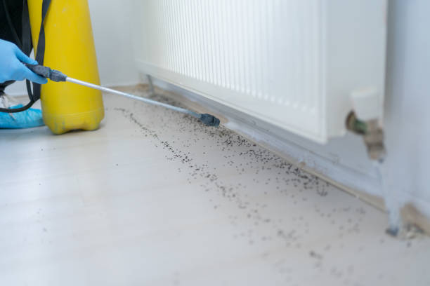 Best Cockroach Control Services  in Fort Atkinson, WI