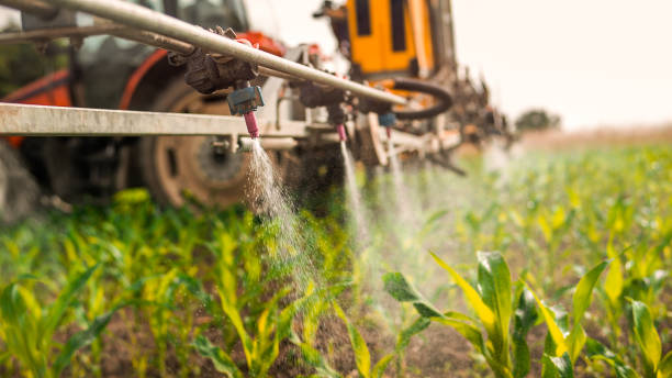 Reliable Fort Atkinson, WI Pest Control Solutions