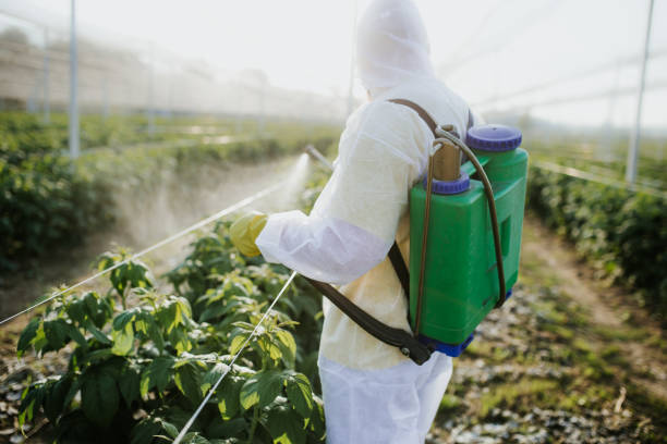 Best Pest Control Near Me in Fort Atkinson, WI